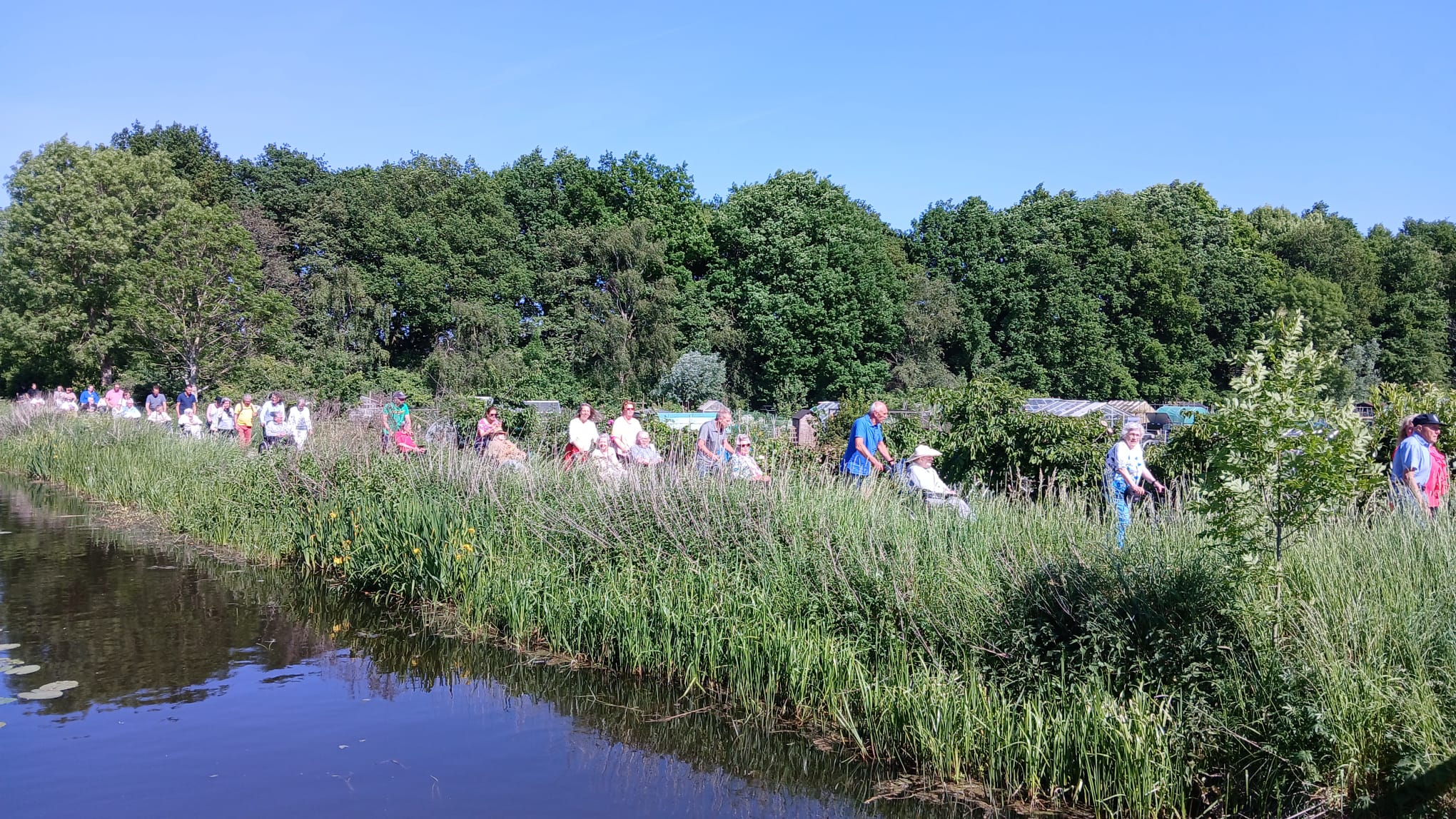 Wandeldriedaagse Rhijndael